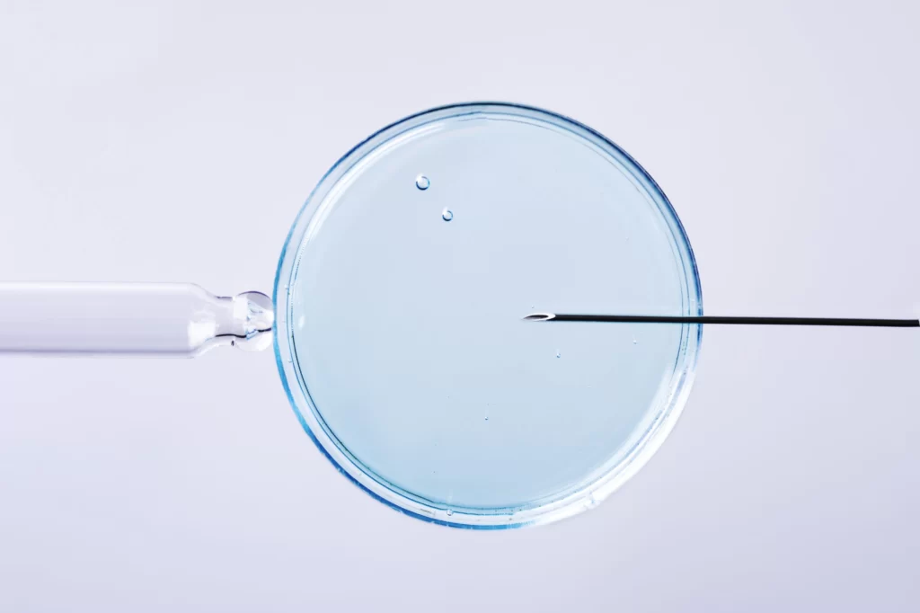 vitro fertilisation concept artificial insemination fertility treatment macro photography scaled 1